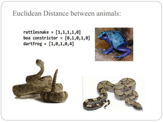 Euclidean Distance between animals:
 