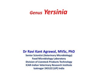 Genus Yersinia
Dr Ravi Kant Agrawal, MVSc, PhD
Senior Scientist (Veterinary Microbiology)
Food Microbiology Laboratory
Division of Livestock Products Technology
ICAR-Indian Veterinary Research Institute
Izatnagar 243122 (UP) India
 