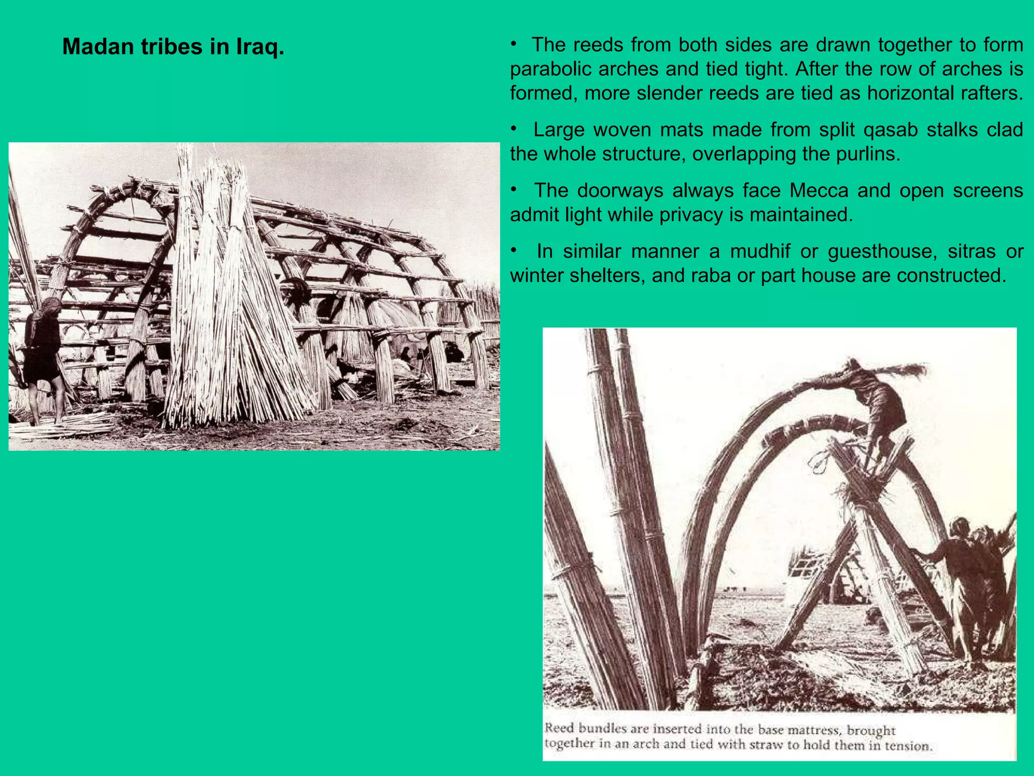 Madan tribes in Iraq.   The reeds from both sides are drawn together to form parabolic arches and tied tight. After the row of arches is formed, more slender reeds are tied as horizontal rafters.  Large woven mats made from split qasab stalks clad the whole structure, overlapping the purlins.  The doorways always face Mecca and open screens admit light while privacy is maintained.  In similar manner a mudhif or guesthouse, sitras or winter shelters, and raba or part house are constructed. 