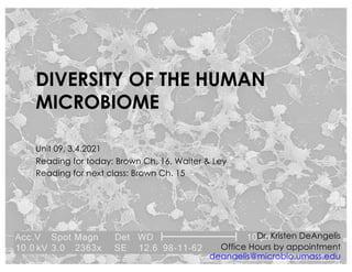 DIVERSITY OF THE HUMAN
MICROBIOME
Unit 09, 3.4.2021
Reading for today: Brown Ch. 16, Walter & Ley
Reading for next class: Brown Ch. 15
Dr. Kristen DeAngelis
Office Hours by appointment
deangelis@microbio.umass.edu
 