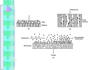 Filtration | PPT