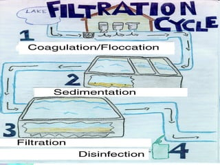 Filtration | PPT