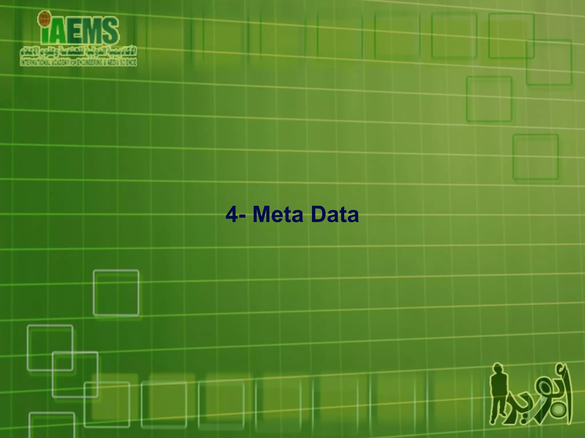 4- Meta Data 