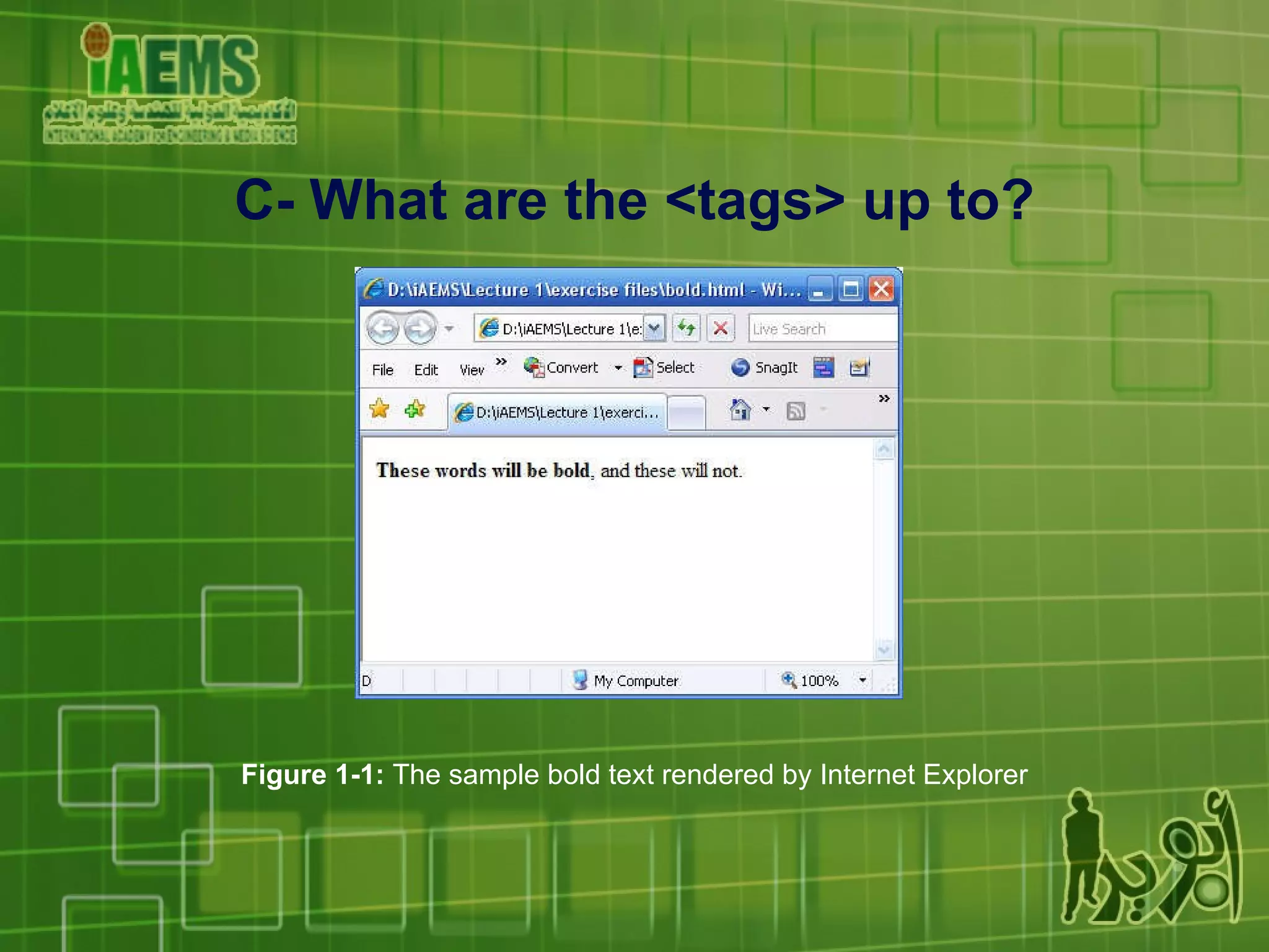Figure 1-1:  The sample bold text rendered by Internet Explorer C- What are the <tags> up to? 