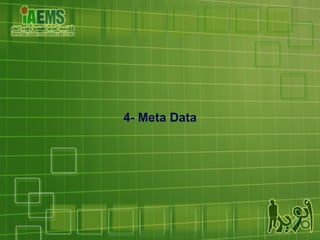 4- Meta Data 