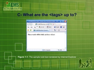 Figure 1-1:  The sample bold text rendered by Internet Explorer C- What are the <tags> up to? 