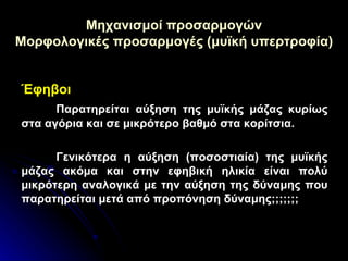 Μηχανισμοί προσαρμογών Μορφολογικές προσαρμογές (μυϊκή υπερτροφία) Έφηβοι Παρατηρείται αύξηση της μυϊκής μάζας κυρίως στα αγόρια και σε μικρότερο βαθμό στα κορίτσια. Γενικότερα η αύξηση (ποσοστιαία) της μυϊκής μάζας ακόμα και στην εφηβική ηλικία είναι πολύ μικρότερη αναλογικά με την αύξηση της δύναμης που παρατηρείται μετά από προπόνηση δύναμης;;;;;;;  