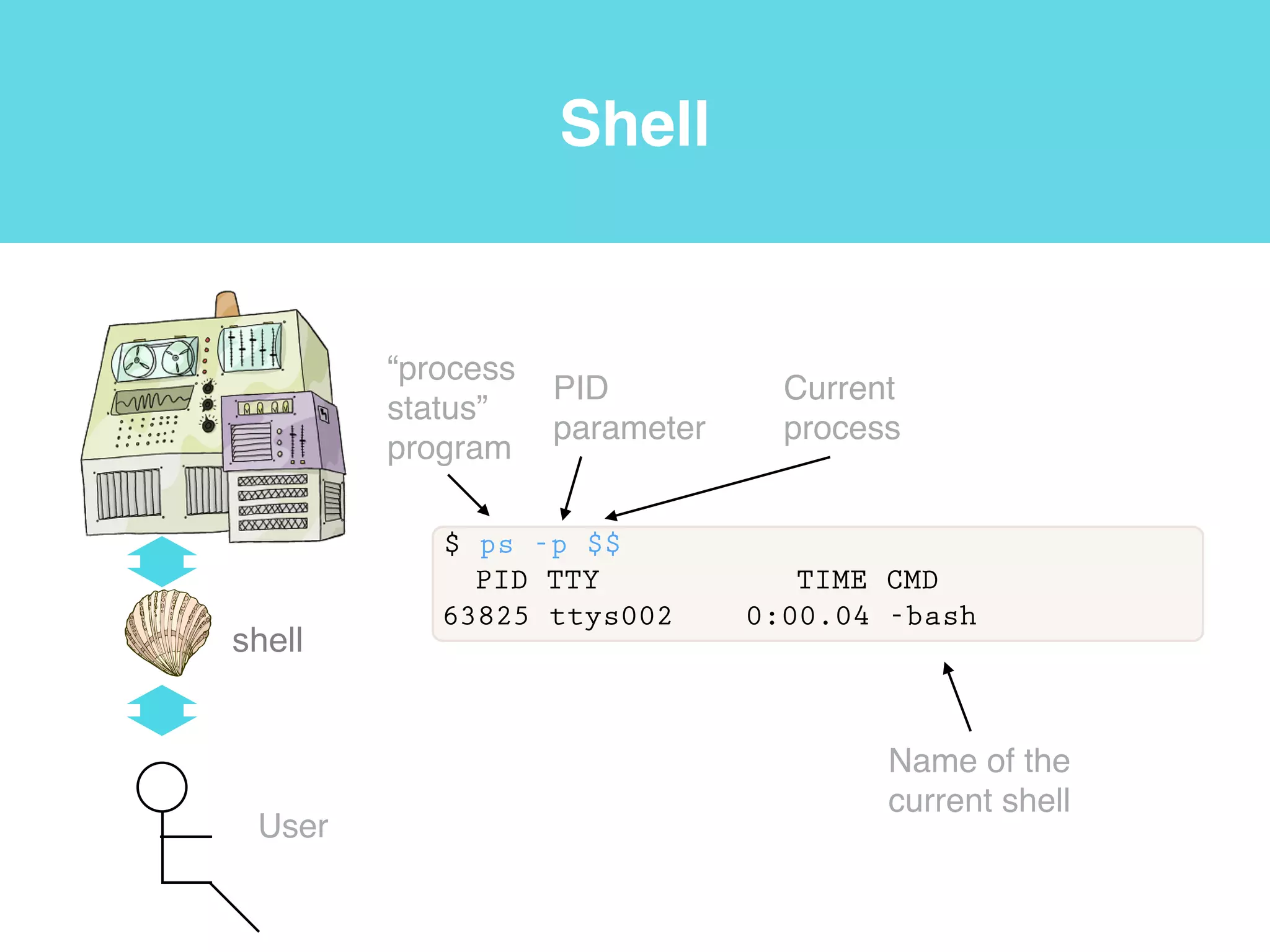 Shell
• shell: A command-line
interface such as Bash (the
Bourne-Again Shell) or the
Microsoft Windows DOS
shell that allows a user to
interact with the operating
system.
shell
User
Software carpentry v.5 http://software-carpentry.org/v5/gloss.html!
Software carpentry v.4 http://software-carpentry.org/v4/shell
 