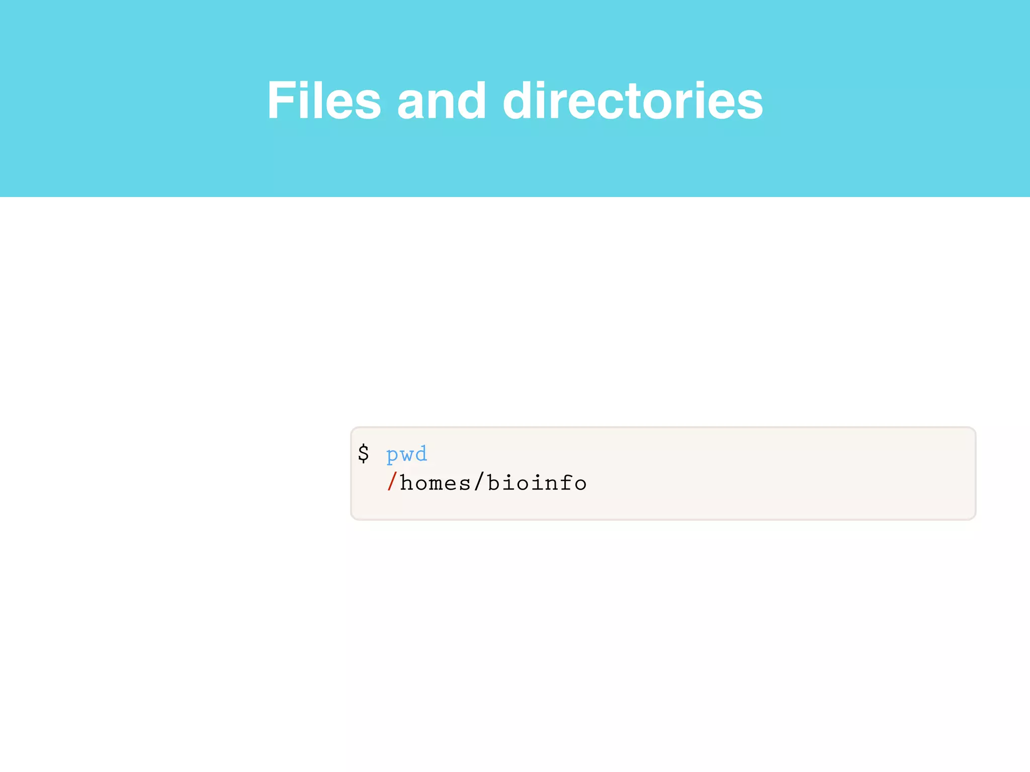 Shell
shell
User
$ ps -p $$
PID TTY TIME CMD
63825 ttys002 0:00.04 -bash
Current
process
“process
status”
program
PID
parameter
 