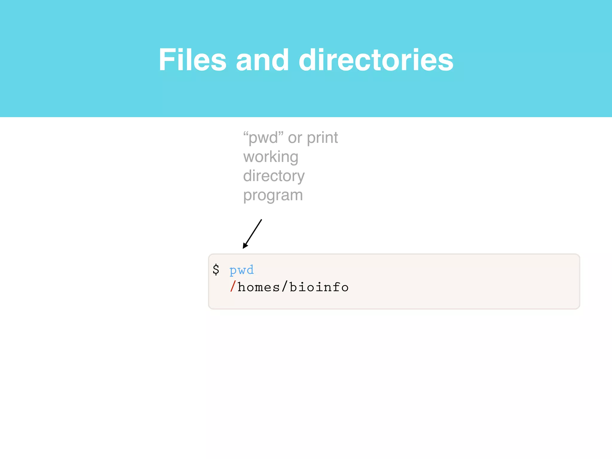 Shell
shell
User
$ ps -p $$
PID TTY TIME CMD
63825 ttys002 0:00.04 -bash
Current
process
“process
status”
program
PID
parameter
Name of the
current shell
 