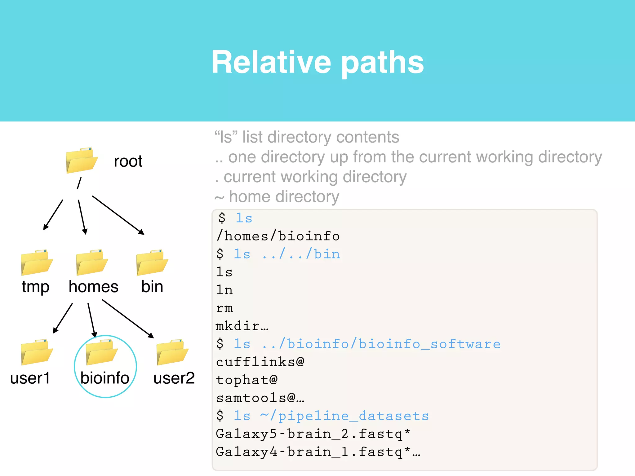Files and directories
$ ln -s /homes/bioinfo/pipeline_datasets/ ./
$ ls
pipeline_datasets@
$ ls pipeline_datasets/RNA-SeqAlign2Ref/
sample_read_list.txt*
Galaxy5-brain_2.fastq*
Galaxy4-brain_1.fastq*
Galaxy3-adrenal_2.fastq*
Galaxy2-adrenal_1.fastq*
Galaxy1-
iGenomes_UCSC_hg19_chr19_gene_annotation.gtf*
hg19.fa*
“ln” or link program with the -s parameter for symbolic!
“ls” list directory contents
RNA-SeqAlign2Ref AssembleT
pipeline_datasets
sample_read_list.txt*!
Galaxy5-brain_2.fastq*!
Galaxy4-brain_1.fastq*!
Galaxy3-adrenal_2.fastq*!
Galaxy2-adrenal_1.fastq*!
Galaxy1-
iGenomes_UCSC_hg19_c
hr19_gene_annotation.gtf*!
hg19.fa*
notes.txt
notes.txt
notes.txt
notes.txt
notes.txt
notes.txt
notes.txt
notes.txt
 