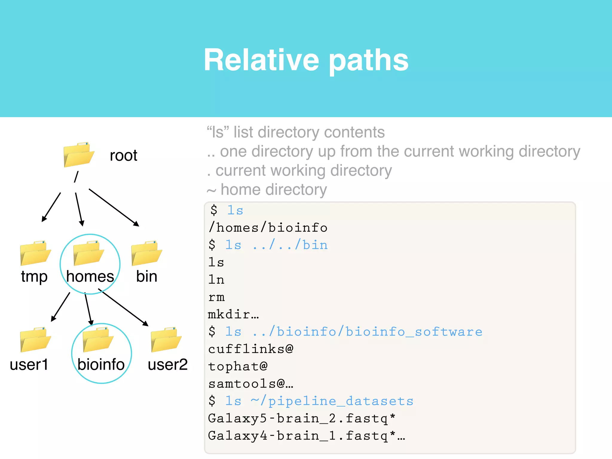 Files and directories
$ ln -s /homes/bioinfo/pipeline_datasets/ ./
$ ls
pipeline_datasets@
$ ls pipeline_datasets/RNA-SeqAlign2Ref/
sample_read_list.txt*
Galaxy5-brain_2.fastq*
Galaxy4-brain_1.fastq*
Galaxy3-adrenal_2.fastq*
Galaxy2-adrenal_1.fastq*
Galaxy1-
iGenomes_UCSC_hg19_chr19_gene_annotation.gtf*
hg19.fa*
“ln” or link program with the -s parameter for symbolic!
“ls” list directory contents
RNA-SeqAlign2Ref AssembleT
pipeline_datasets
sample_read_list.txt*!
Galaxy5-brain_2.fastq*!
Galaxy4-brain_1.fastq*!
Galaxy3-adrenal_2.fastq*!
Galaxy2-adrenal_1.fastq*!
Galaxy1-
iGenomes_UCSC_hg19_c
hr19_gene_annotation.gtf*!
hg19.fa*
notes.txt
notes.txt
notes.txt
notes.txt
notes.txt
notes.txt
notes.txt
notes.txt
 