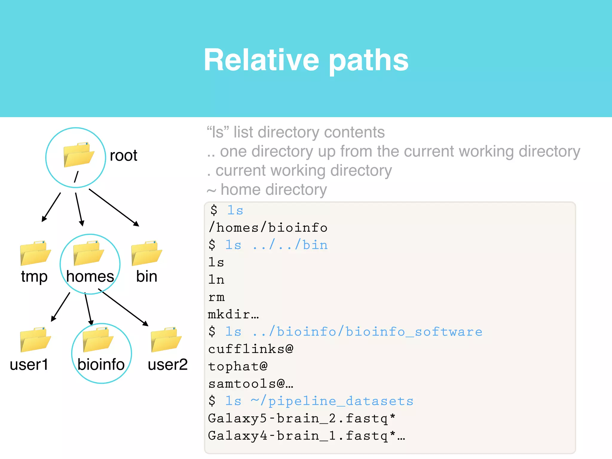 Files and directories
$ ln -s /homes/bioinfo/pipeline_datasets/ ./
$ ls
pipeline_datasets@
$ ls pipeline_datasets/RNA-SeqAlign2Ref/
sample_read_list.txt*
Galaxy5-brain_2.fastq*
Galaxy4-brain_1.fastq*
Galaxy3-adrenal_2.fastq*
Galaxy2-adrenal_1.fastq*
Galaxy1-
iGenomes_UCSC_hg19_chr19_gene_annotation.gtf*
hg19.fa*
“ln” or link program with the -s parameter for symbolic!
“ls” list directory contents
RNA-SeqAlign2Ref AssembleT
pipeline_datasets
sample_read_list.txt*!
Galaxy5-brain_2.fastq*!
Galaxy4-brain_1.fastq*!
Galaxy3-adrenal_2.fastq*!
Galaxy2-adrenal_1.fastq*!
Galaxy1-
iGenomes_UCSC_hg19_c
hr19_gene_annotation.gtf*!
hg19.fa*
notes.txt
notes.txt
notes.txt
notes.txt
notes.txt
notes.txt
notes.txt
notes.txt
 