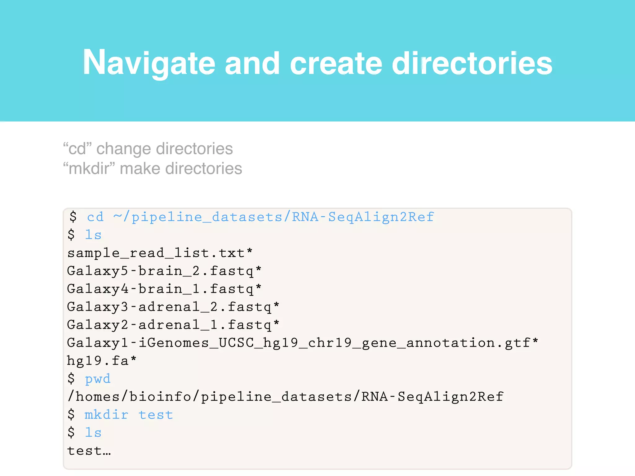 Relative paths
$ ls
/homes/bioinfo
$ ls ../../bin
ls
ln
rm
mkdir…
$ ls ../bioinfo/bioinfo_software
cufflinks@
tophat@
samtools@…
$ ls ~/pipeline_datasets
Galaxy5-brain_2.fastq*
Galaxy4-brain_1.fastq*…
root
/
tmp homes bin
user1 bioinfo user2
“ls” list directory contents!
.. one directory up from the current working directory!
. current working directory!
~ home directory
 