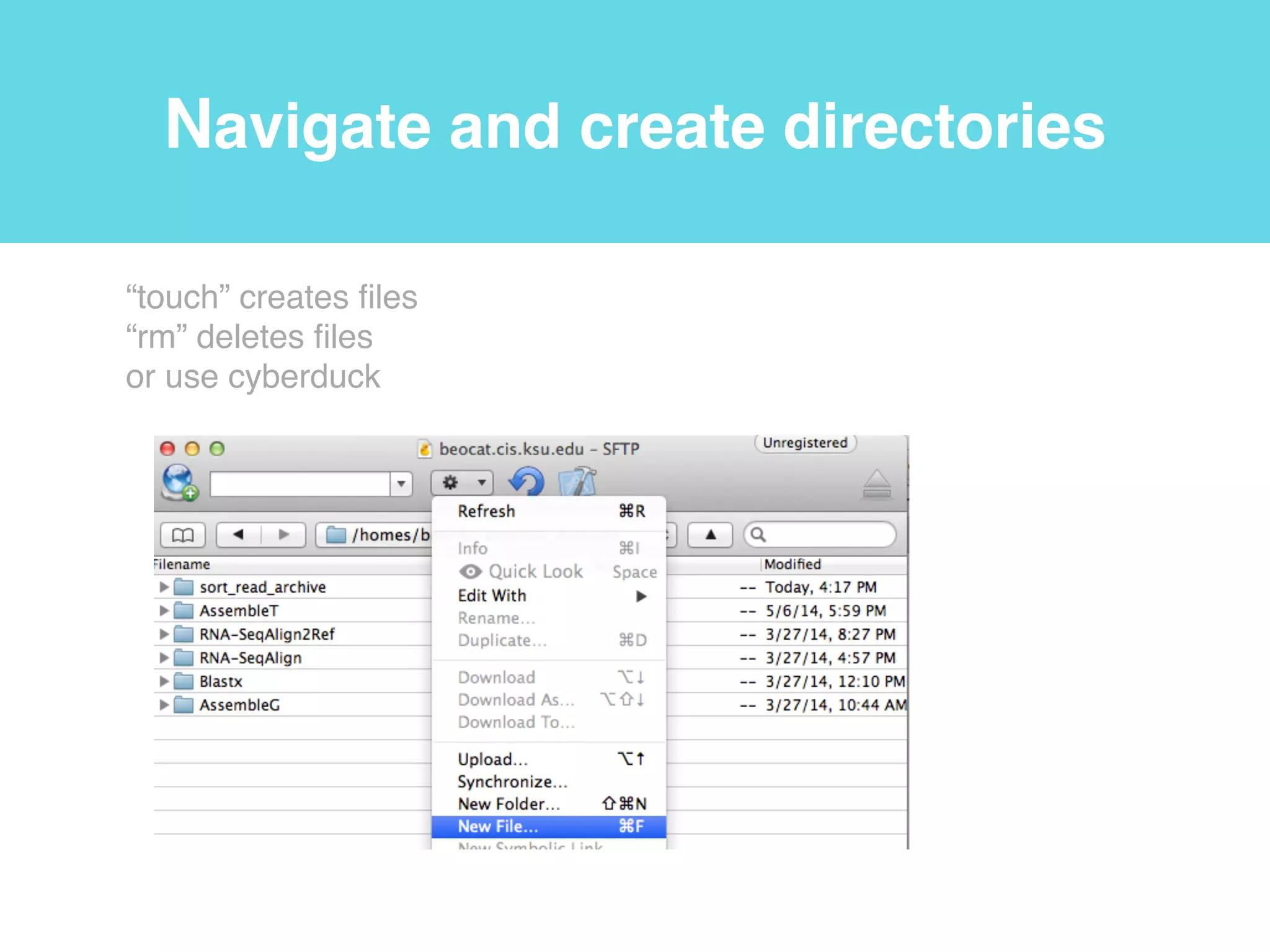 Relative paths
$ ls
/homes/bioinfo
$ ls ../../bin
ls
ln
rm
mkdir…
$ ls ../bioinfo/bioinfo_software
cufflinks@
tophat@
samtools@…
$ ls ~/pipeline_datasets
Galaxy5-brain_2.fastq*
Galaxy4-brain_1.fastq*…
root
/
tmp homes bin
user1 bioinfo user2
“ls” list directory contents!
.. one directory up from the current working directory!
. current working directory!
~ home directory
 