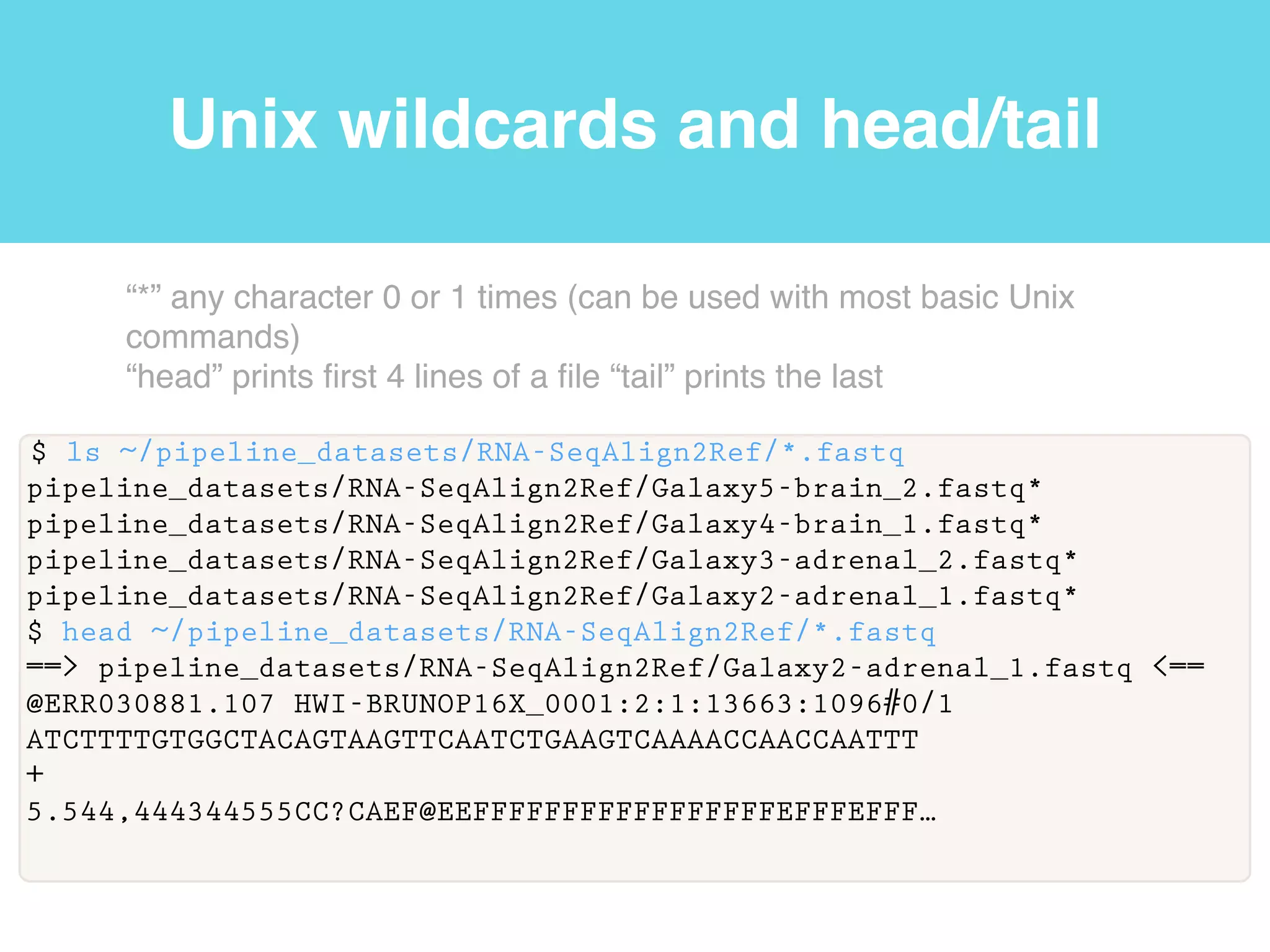 Navigate and create directories
$ cd ~/pipeline_datasets/RNA-SeqAlign2Ref
$ ls
sample_read_list.txt*
Galaxy5-brain_2.fastq*
Galaxy4-brain_1.fastq*
Galaxy3-adrenal_2.fastq*
Galaxy2-adrenal_1.fastq*
Galaxy1-iGenomes_UCSC_hg19_chr19_gene_annotation.gtf*
hg19.fa*
$ pwd
/homes/bioinfo/pipeline_datasets/RNA-SeqAlign2Ref
$ mkdir test
$ ls
test…
“cd” change directories!
“mkdir” make directories
 