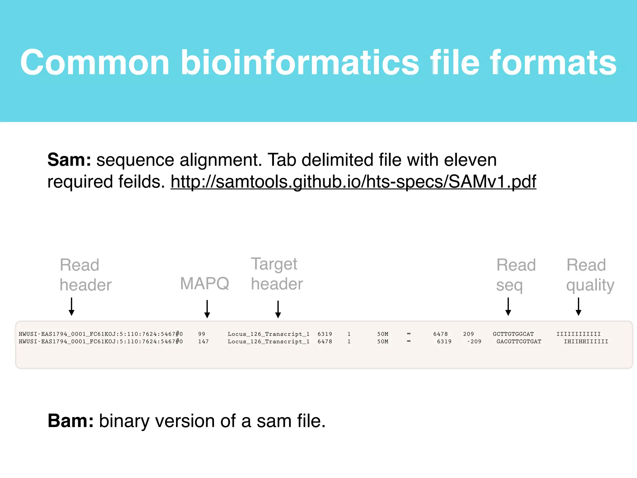 Navigate and create directories
“touch” creates ﬁles!
“rm” deletes ﬁles!
“nano” is a commandline ﬁle editor!
or use cyberduck!
!
Software carpentry v.5 http://software-carpentry.org/v5/gloss.html!
Software carpentry v.4 http://software-carpentry.org/v4/shell
 
