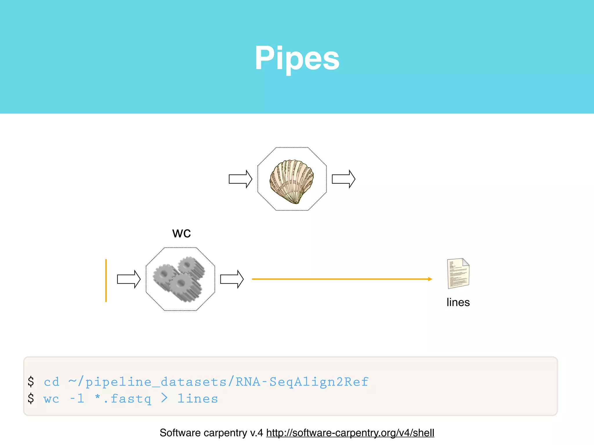 Unix wildcards and head/tail
$ ls ~/pipeline_datasets/RNA-SeqAlign2Ref/*.fastq
pipeline_datasets/RNA-SeqAlign2Ref/Galaxy5-brain_2.fastq*
pipeline_datasets/RNA-SeqAlign2Ref/Galaxy4-brain_1.fastq*
pipeline_datasets/RNA-SeqAlign2Ref/Galaxy3-adrenal_2.fastq*
pipeline_datasets/RNA-SeqAlign2Ref/Galaxy2-adrenal_1.fastq*
$ head ~/pipeline_datasets/RNA-SeqAlign2Ref/*.fastq
==> pipeline_datasets/RNA-SeqAlign2Ref/Galaxy2-adrenal_1.fastq <==
@ERR030881.107 HWI-BRUNOP16X_0001:2:1:13663:1096#0/1
ATCTTTTGTGGCTACAGTAAGTTCAATCTGAAGTCAAAACCAACCAATTT
+
5.544,444344555CC?CAEF@EEFFFFFFFFFFFFFFFFFEFFFEFFF…
“*” any character 0 or 1 times (can be used with most basic Unix
commands)!
“head” prints ﬁrst 4 lines of a ﬁle “tail” prints the last
 