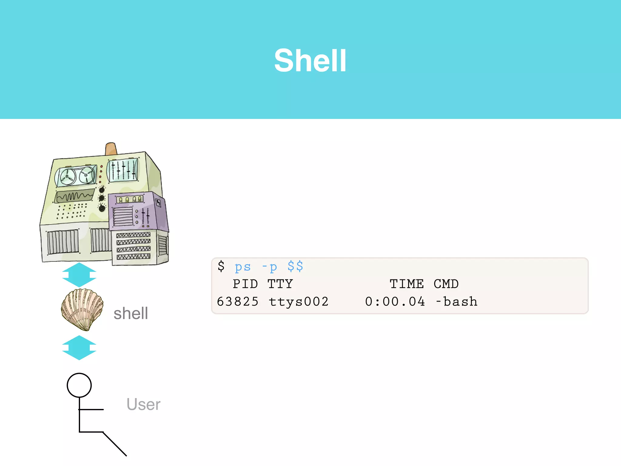 Terminal
• We are now connected to Beocat using a command-line
interface (CLI). A CLI is an interface based on typing
commands, usually at a read-eval-print loop (REPL).
Software carpentry v.5 http://software-carpentry.org/v5/gloss.html
 