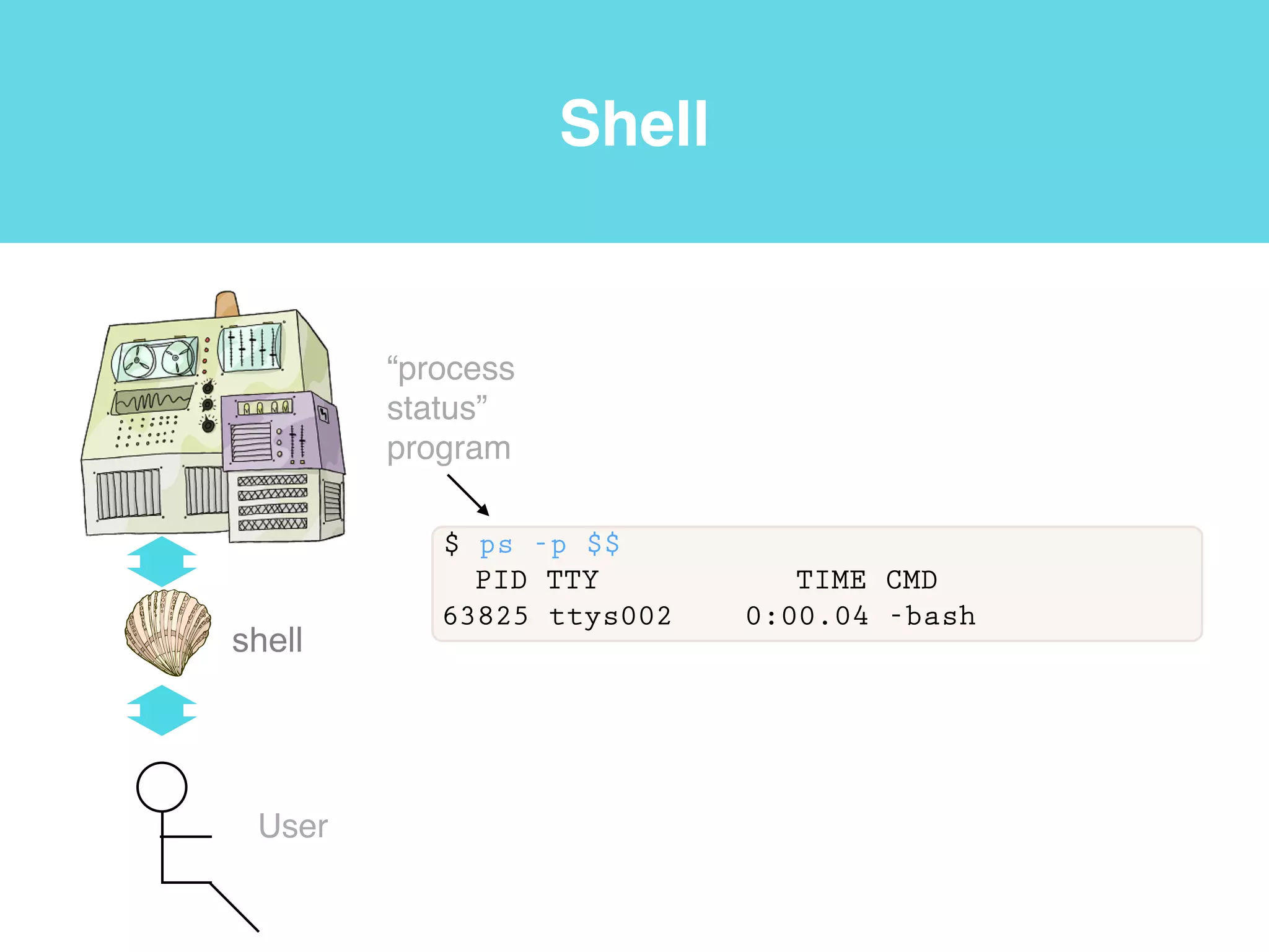 Terminal
• We are now connected to Beocat using a command-line
interface (CLI). A CLI is an interface based on typing
commands, usually at a read-eval-print loop (REPL).
• A read-eval-print loop (REPL) is a command-line interface
that reads a command from the user, executes it, prints the
result, and waits for another command.
Software carpentry v.5 http://software-carpentry.org/v5/gloss.html
 