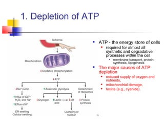1 | PPT