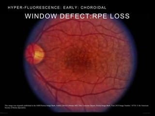 Lecture 1: Introduction, Anatomy and Diagnostics | PPTX
