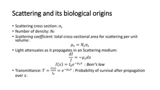 Scattering and its biological origins 
• Scattering cross section: 휎푠 
• Number of density: Ns 
• Scattering coefficient: total cross-sectional area for scattering per unit 
volume: 
휇푠 = 푁푠휎푠 
• Light attenuates as it propagates in an Scattering medium: 
푑퐼 
퐼 
= −휇푠푑푥 
퐼 푥 = 퐼0푒−휇푠푥 : Beer’s law 
• Transmittance: 푇 = 
퐼(s) 
퐼0 
= 푒−휇푠푥 : Probability of survival after propagation 
over 푥. 
 