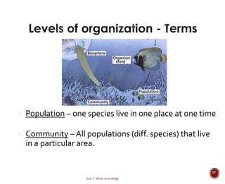  Population – one species live in one place at one time 
 Community – All populations (diff. species) that live 
in a particular area. 
Lec.1 what is ecology 
17 
 
