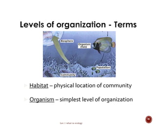  Habitat – physical location of community 
 Organism – simplest level of organization 
Lec.1 what is ecology 
18 
