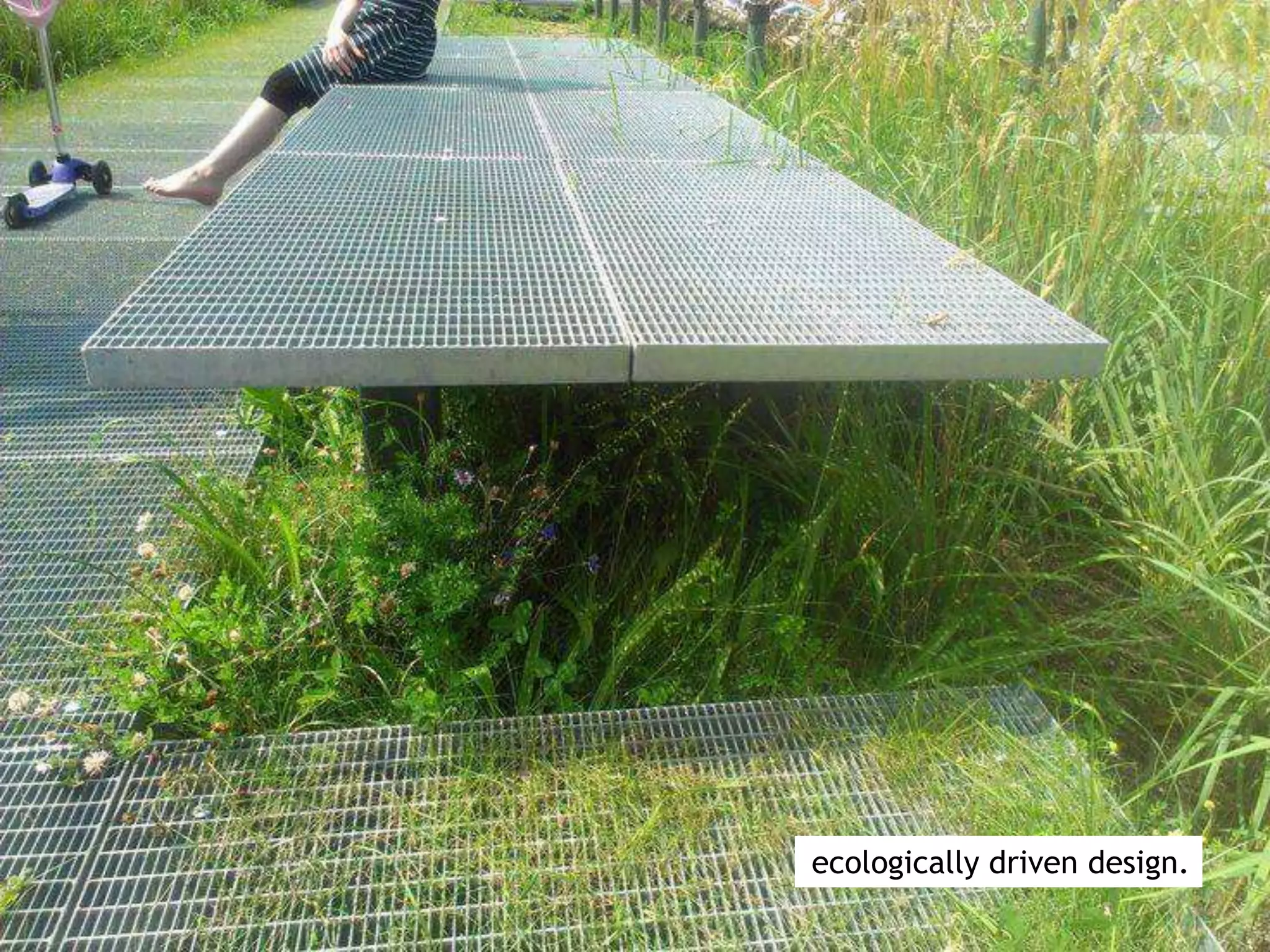 ecologically driven design.
 