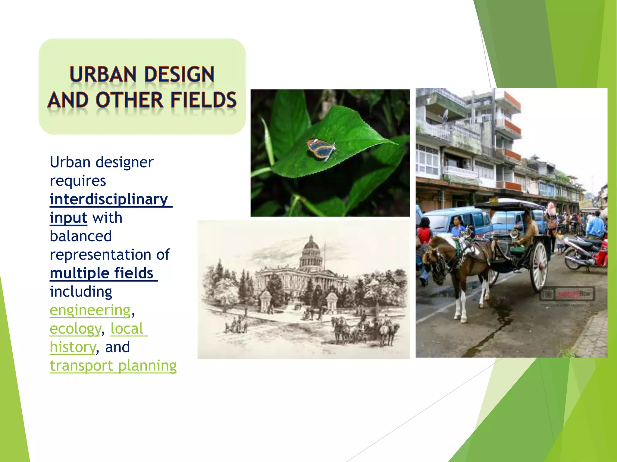 Urban designer
requires
interdisciplinary
input with
balanced
representation of
multiple fields
including
engineering,
ecology, local
history, and
transport planning
 