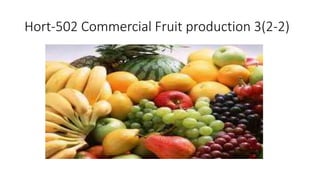 Hort-502 Commercial Fruit production 3(2-2)
 