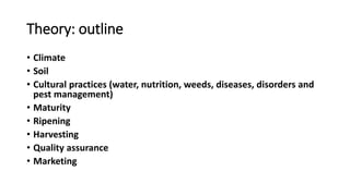 Theory: outline
• Climate
• Soil
• Cultural practices (water, nutrition, weeds, diseases, disorders and
pest management)
• Maturity
• Ripening
• Harvesting
• Quality assurance
• Marketing
 