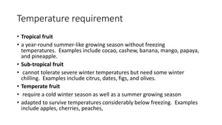 Temperature requirement
• Tropical fruit
• a year-round summer-like growing season without freezing
temperatures. Examples include cocao, cashew, banana, mango, papaya,
and pineapple.
• Sub-tropical fruit
• cannot tolerate severe winter temperatures but need some winter
chilling. Examples include citrus, dates, figs, and olives.
• Temperate fruit
• require a cold winter season as well as a summer growing season
• adapted to survive temperatures considerably below freezing. Examples
include apples, cherries, peaches,
 