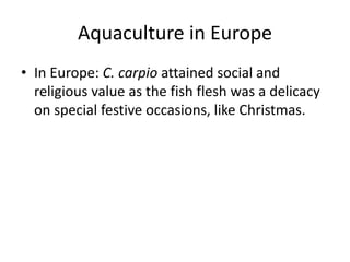 Aquaculture in Europe
• In Europe: C. carpio attained social and
religious value as the fish flesh was a delicacy
on special festive occasions, like Christmas.
 