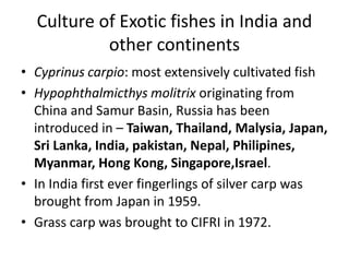 Culture of Exotic fishes in India and
other continents
• Cyprinus carpio: most extensively cultivated fish
• Hypophthalmicthys molitrix originating from
China and Samur Basin, Russia has been
introduced in – Taiwan, Thailand, Malysia, Japan,
Sri Lanka, India, pakistan, Nepal, Philipines,
Myanmar, Hong Kong, Singapore,Israel.
• In India first ever fingerlings of silver carp was
brought from Japan in 1959.
• Grass carp was brought to CIFRI in 1972.
 