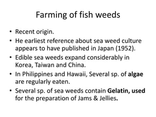 Farming of fish weeds
• Recent origin.
• He earliest reference about sea weed culture
appears to have published in Japan (1952).
• Edible sea weeds expand considerably in
Korea, Taiwan and China.
• In Philippines and Hawaii, Several sp. of algae
are regularly eaten.
• Several sp. of sea weeds contain Gelatin, used
for the preparation of Jams & Jellies.
 