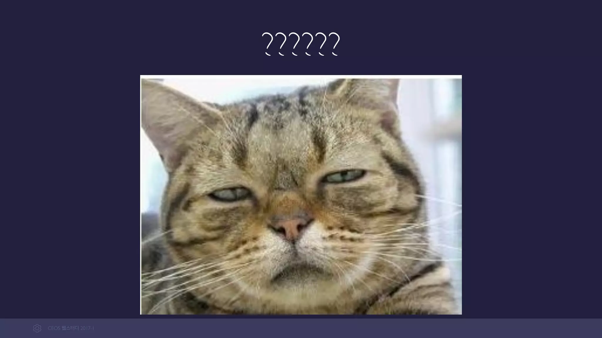 CEOS WEB-STUDY 2017-1
??????
 