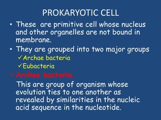 PROKARYOTIC CELL
• These are primitive cell whose nucleus
and other organelles are not bound in
membrane.
• They are grouped into two major groups
Archae bacteria
Eubacteria
Archae bacteria.
This are group of organism whose
evolution ties to one another as
revealed by similarities in the nucleic
acid sequence in the nucleotide.
 