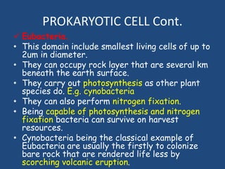PROKARYOTIC CELL Cont.
 Eubacteria.
• This domain include smallest living cells of up to
2um in diameter.
• They can occupy rock layer that are several km
beneath the earth surface.
• They carry out photosynthesis as other plant
species do. E.g. cynobacteria
• They can also perform nitrogen fixation.
• Being capable of photosynthesis and nitrogen
fixation bacteria can survive on harvest
resources.
• Cynobacteria being the classical example of
Eubacteria are usually the firstly to colonize
bare rock that are rendered life less by
scorching volcanic eruption.
 
