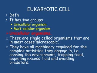 EUKARYOTIC CELL
• Defn
• It has two groups
 Unicellular organism
 Mult-cellular organism
Unicellular organisms.
o These are single celled organisms that are
in most cases microscopic.
o They have all machinery required for the
complex activities they engage in, i.e.
sensing the environment, trapping food,
expelling excess fluid and avoiding
predators.
 