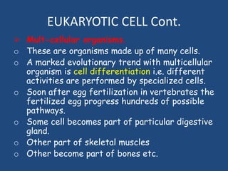 EUKARYOTIC CELL Cont.
 Mult-cellular organisms.
o These are organisms made up of many cells.
o A marked evolutionary trend with multicellular
organism is cell differentiation i.e. different
activities are performed by specialized cells.
o Soon after egg fertilization in vertebrates the
fertilized egg progress hundreds of possible
pathways.
o Some cell becomes part of particular digestive
gland.
o Other part of skeletal muscles
o Other become part of bones etc.
 