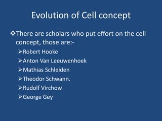Evolution of Cell concept
There are scholars who put effort on the cell
concept, those are:-
Robert Hooke
Anton Van Leeuwenhoek
Mathias Schleiden
Theodor Schwann.
Rudolf Virchow
George Gey
 