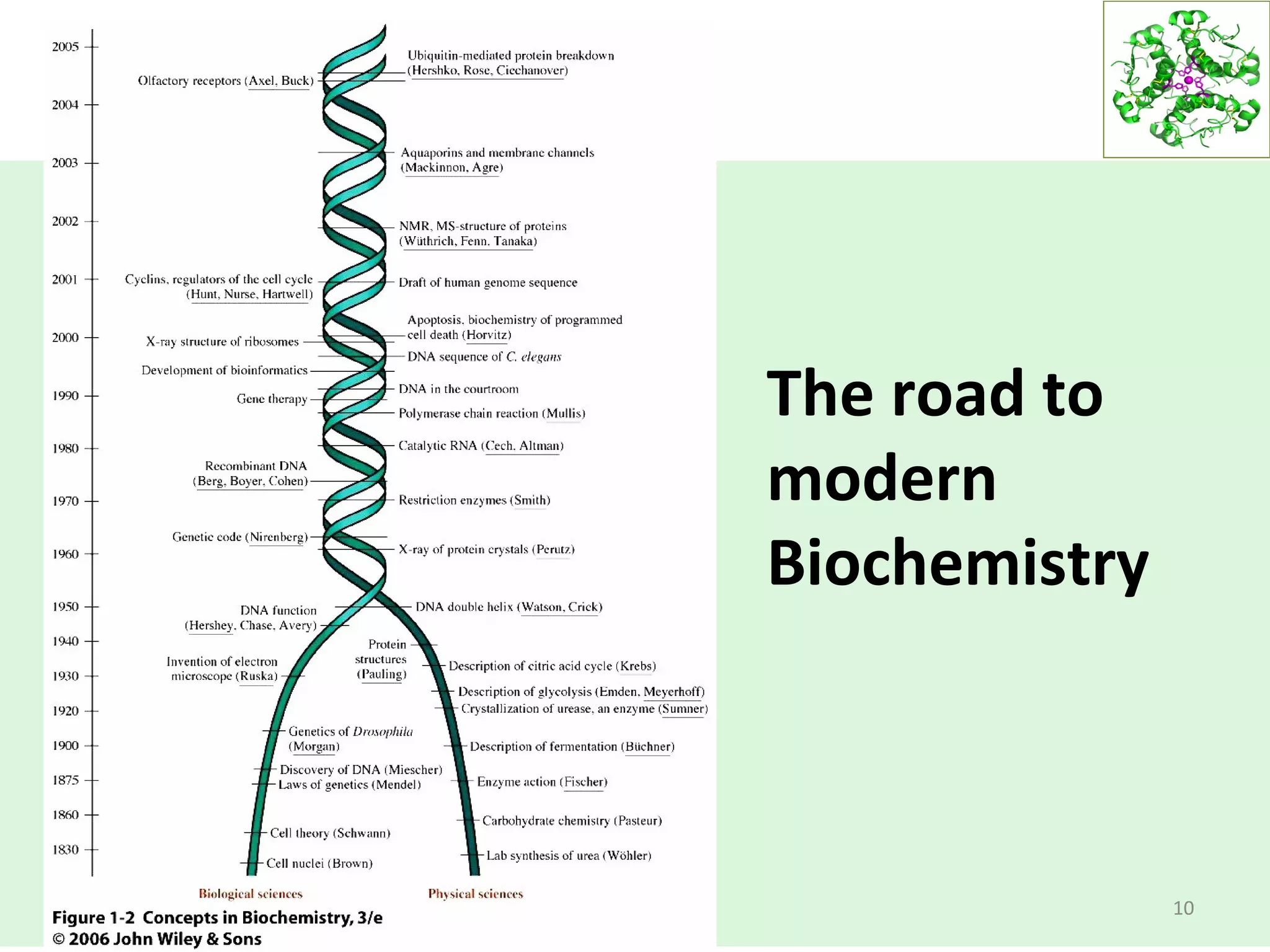 10
The road to
modern
Biochemistry
 