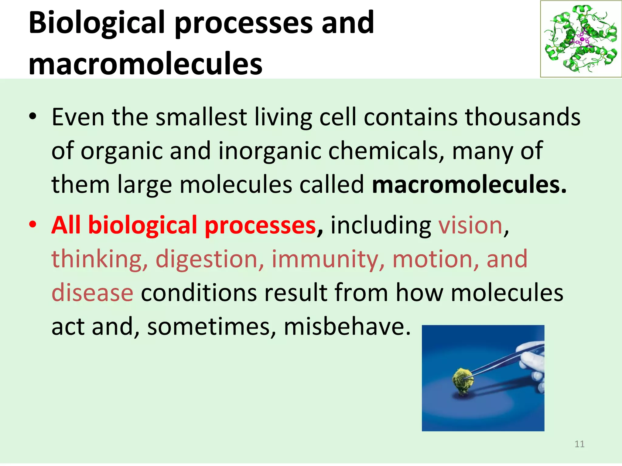Biological processes and
macromolecules
• Even the smallest living cell contains thousands
of organic and inorganic chemicals, many of
them large molecules called macromolecules.
• All biological processes, including vision,
thinking, digestion, immunity, motion, and
disease conditions result from how molecules
act and, sometimes, misbehave.
11
 