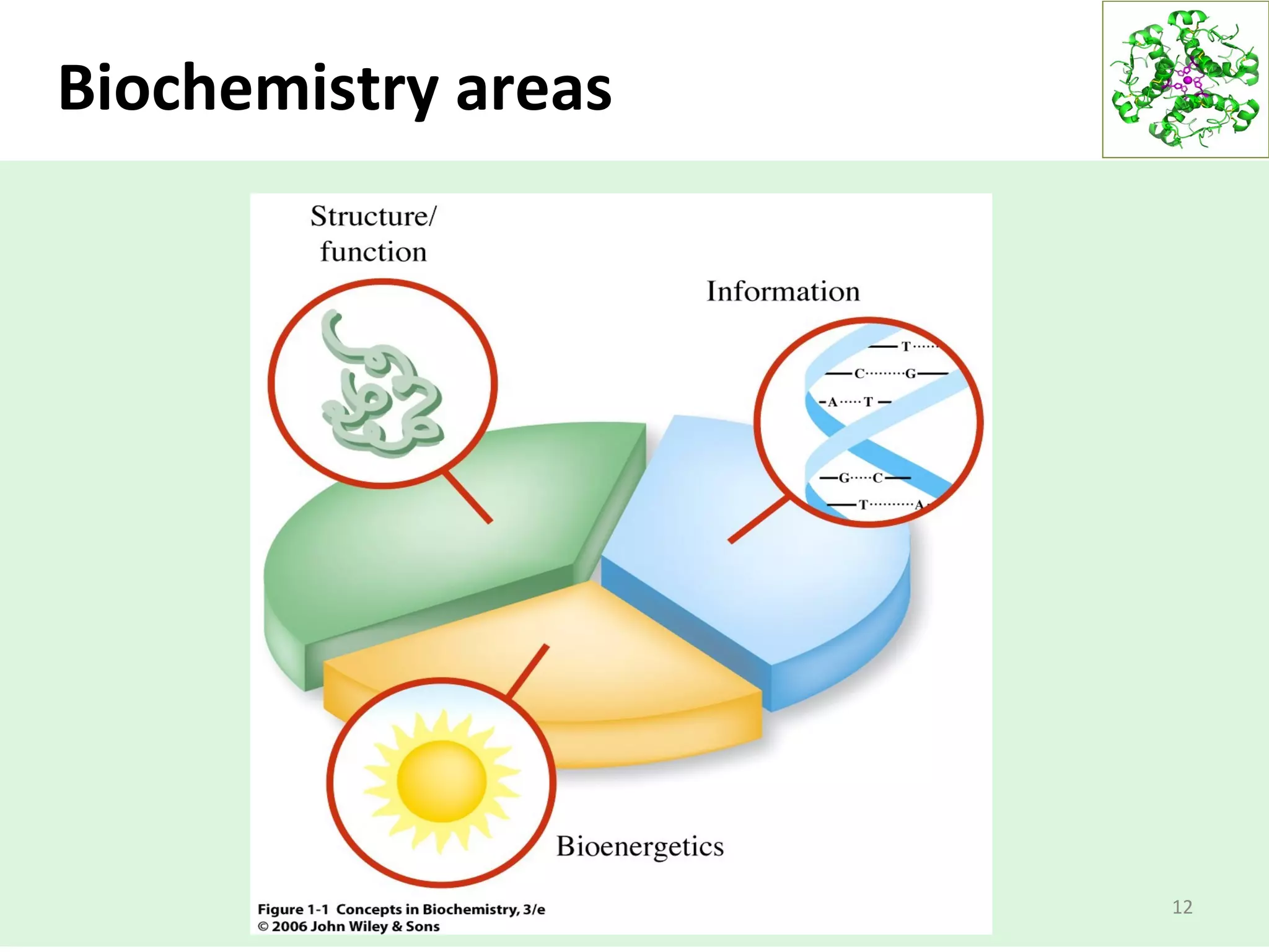 Biochemistry areas
12
 