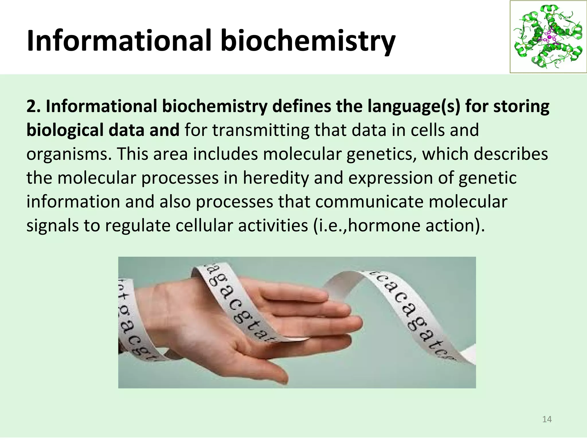Informational biochemistry
2. Informational biochemistry defines the language(s) for storing
biological data and for transmitting that data in cells and
organisms. This area includes molecular genetics, which describes
the molecular processes in heredity and expression of genetic
information and also processes that communicate molecular
signals to regulate cellular activities (i.e.,hormone action).
14
 
