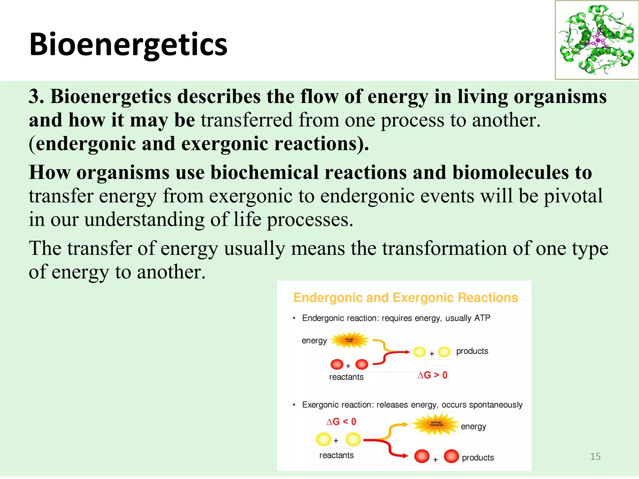 Bioenergetics
3. Bioenergetics describes the flow of energy in living organisms
and how it may be transferred from one process to another.
(endergonic and exergonic reactions).
How organisms use biochemical reactions and biomolecules to
transfer energy from exergonic to endergonic events will be pivotal
in our understanding of life processes.
The transfer of energy usually means the transformation of one type
of energy to another.
15
 