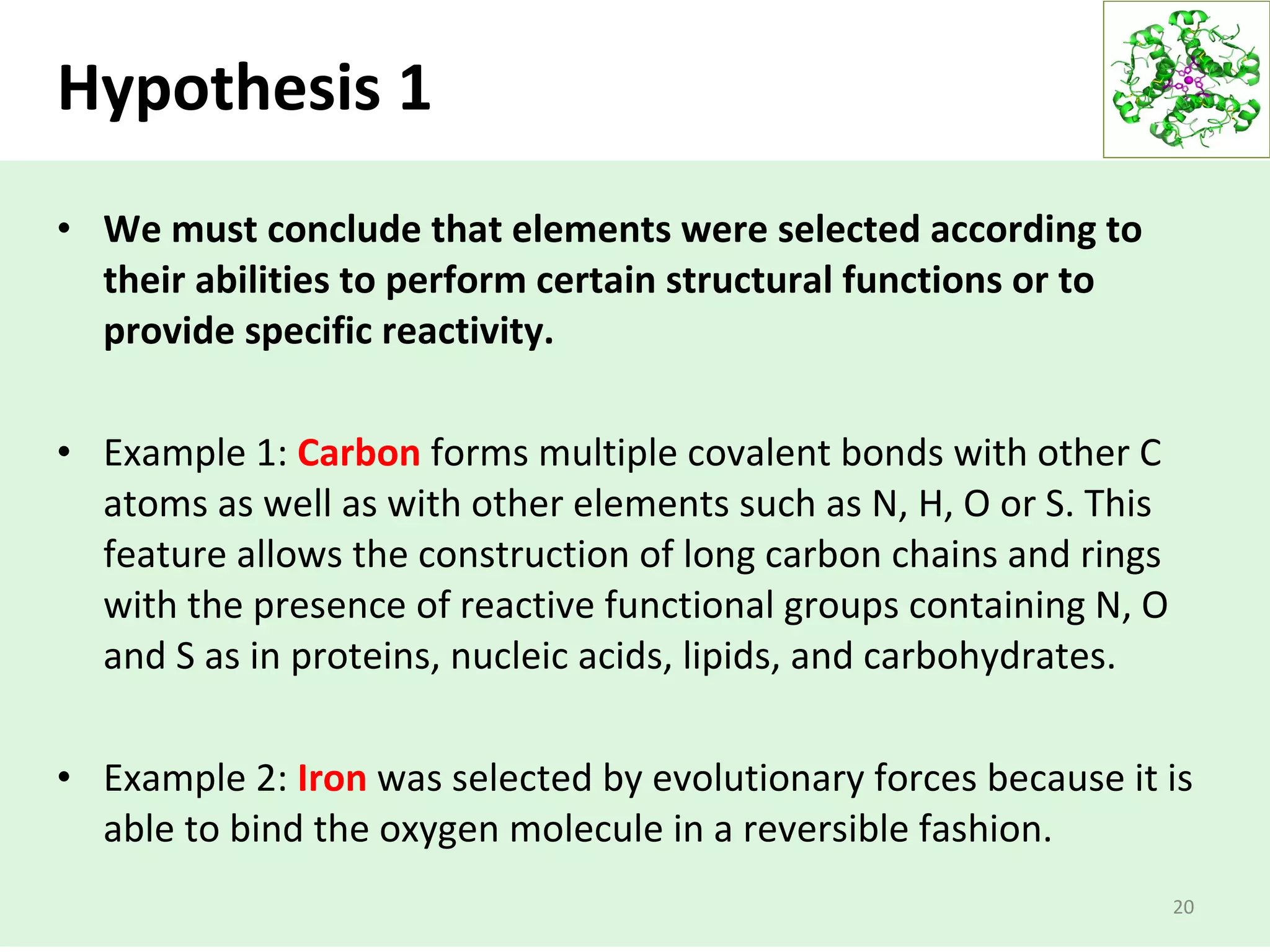 Hypothesis 1
• We must conclude that elements were selected according to
their abilities to perform certain structural functions or to
provide specific reactivity.
• Example 1: Carbon forms multiple covalent bonds with other C
atoms as well as with other elements such as N, H, O or S. This
feature allows the construction of long carbon chains and rings
with the presence of reactive functional groups containing N, O
and S as in proteins, nucleic acids, lipids, and carbohydrates.
• Example 2: Iron was selected by evolutionary forces because it is
able to bind the oxygen molecule in a reversible fashion.
20
 