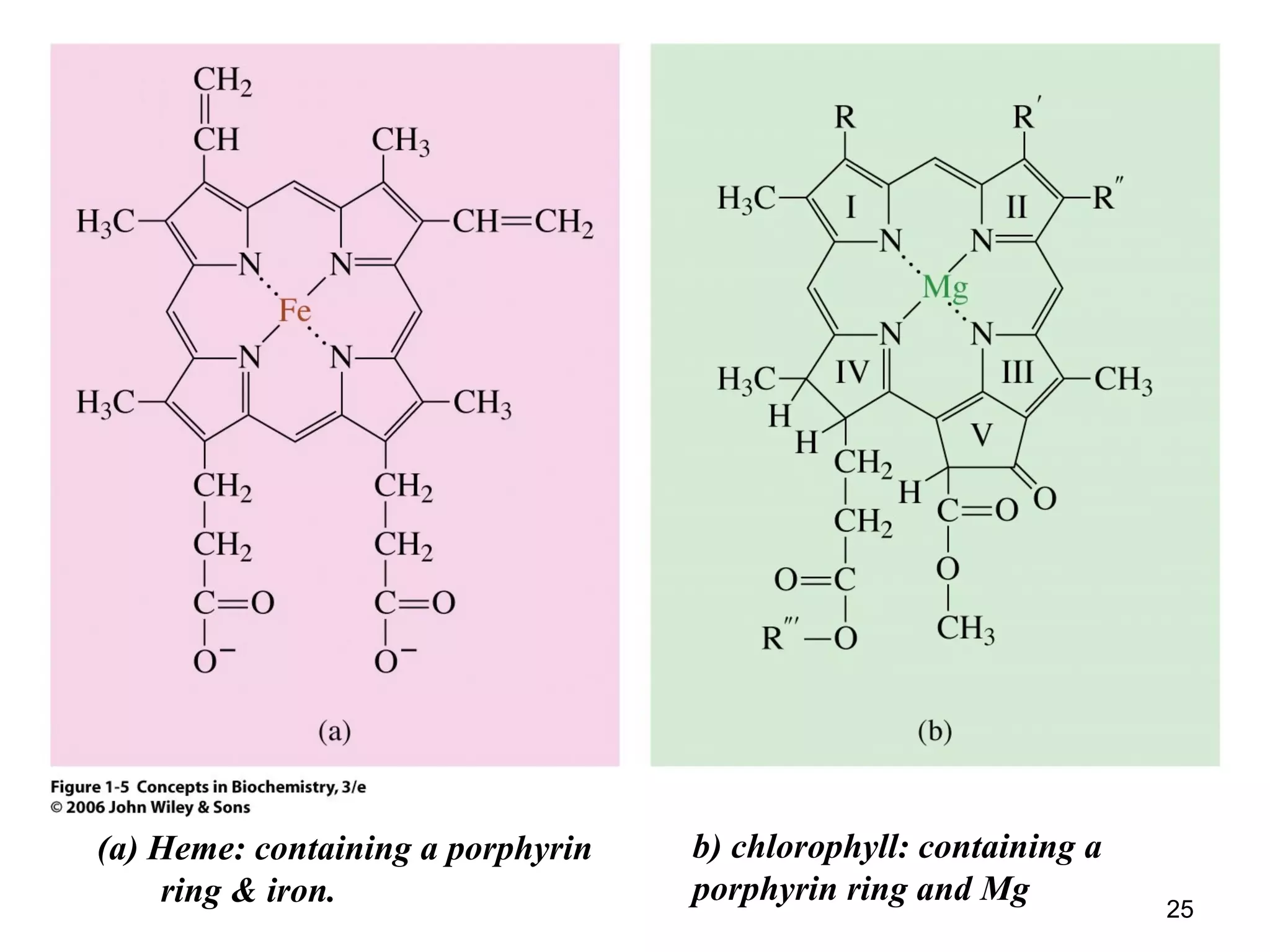 (a) Heme: containing a porphyrin
ring & iron.
b) chlorophyll: containing a
porphyrin ring and Mg
25
 